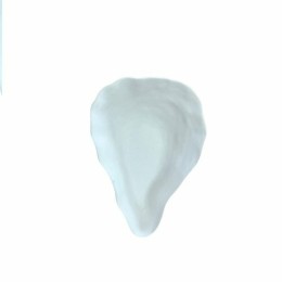 Plat huître céramique non émaillé 60 cl - par 20