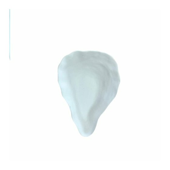 Plat huître céramique non émaillé 60 cl - par 20