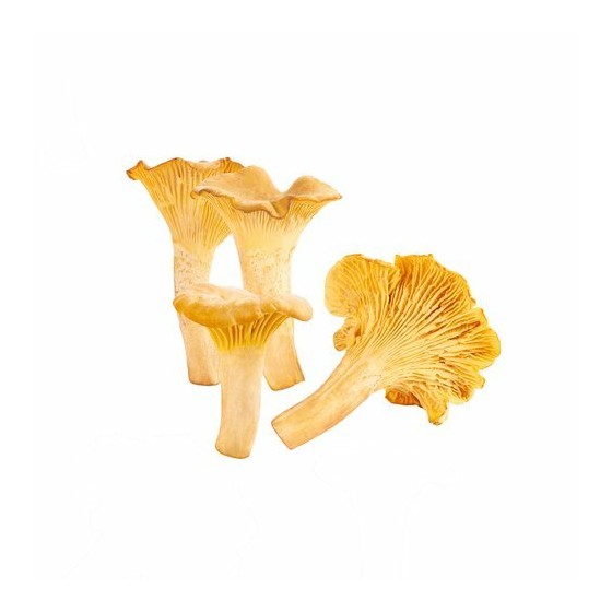 Girolles entières - par 500 g