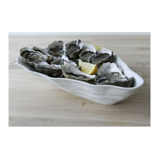 Plat huître céramique non émaillé 60 cl - par 20