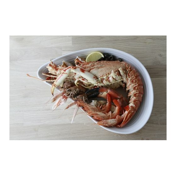 Plat moule céramique non émaillée 80 cl - par 20