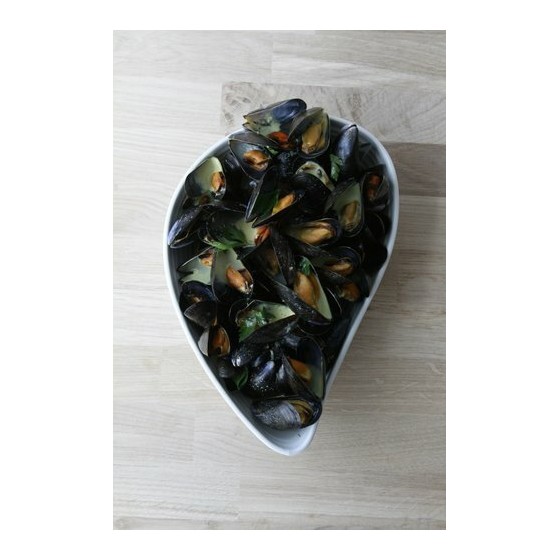 Plat moule céramique non émaillée 195 cl - par 6