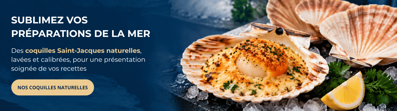 Coquilles Saint-Jacques