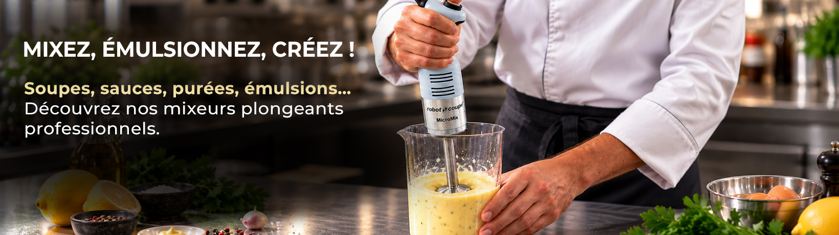 Mixer plongeant