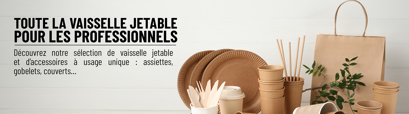 Vaisselles jetables