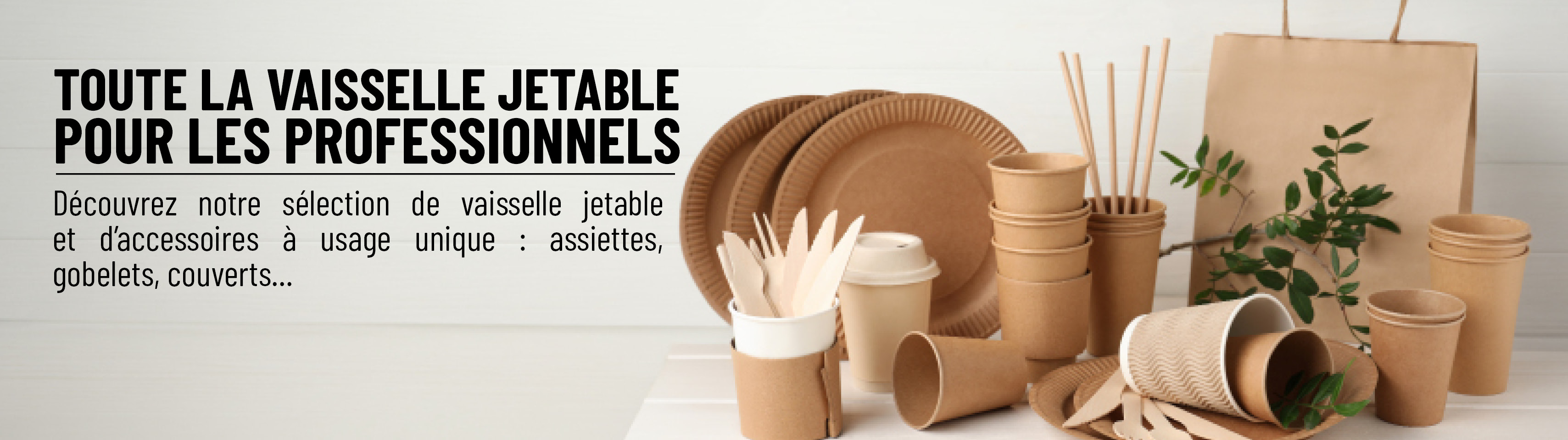 Vaisselles jetables