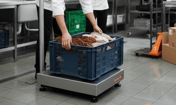 Balance Ohaus Defender 3000